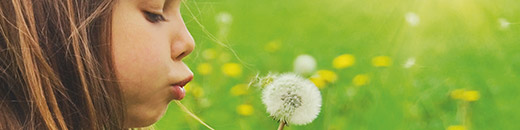 Kind mit Pusteblume Kind mit Pusteblume
