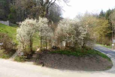 Alles andere als Aprilwetter herrschte während des Treffens im Waldschlösschen. Trotz des Sonnenscheins und der angenehmen Temperaturen musste das umfangreiche Programm abgearbeitet werden.